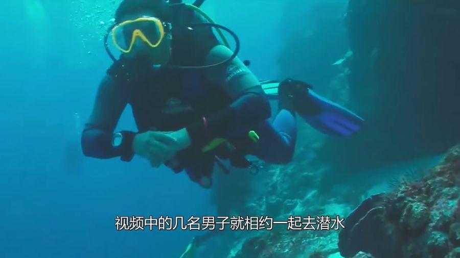 狗狗物品记忆卡