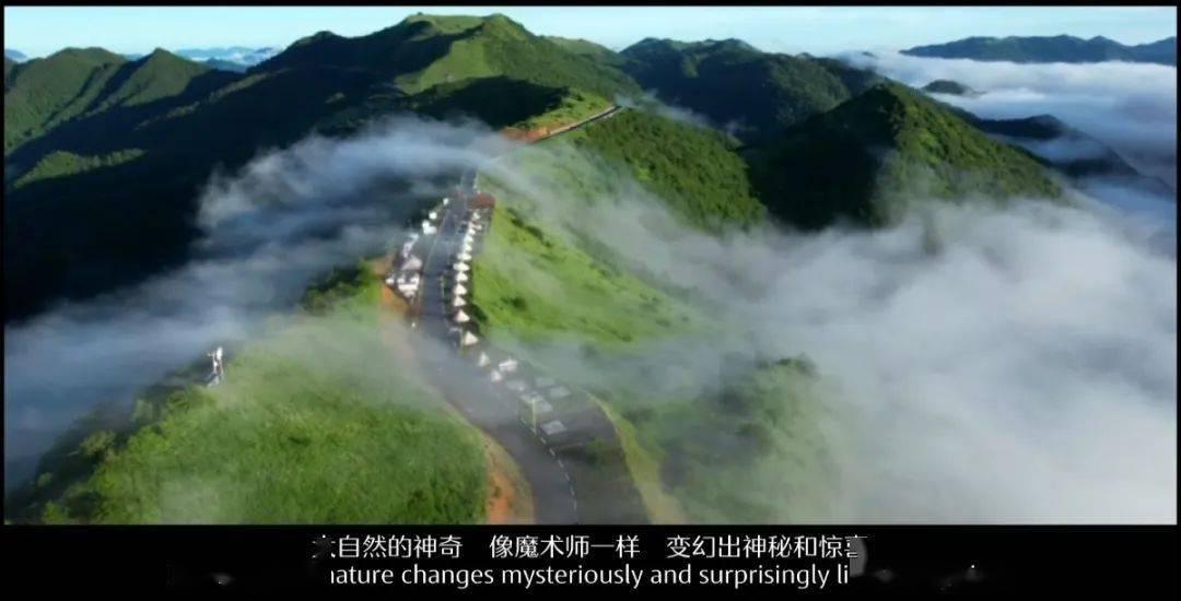 上海立法遇到什么情况医护人员报告享免责权？游戏画面