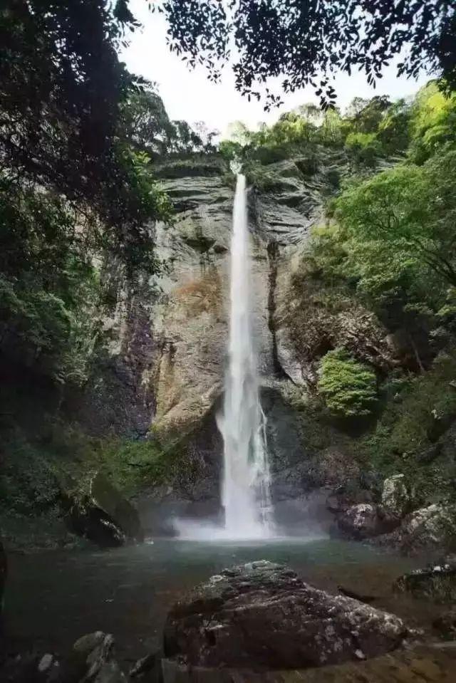 求生指南：第三人称